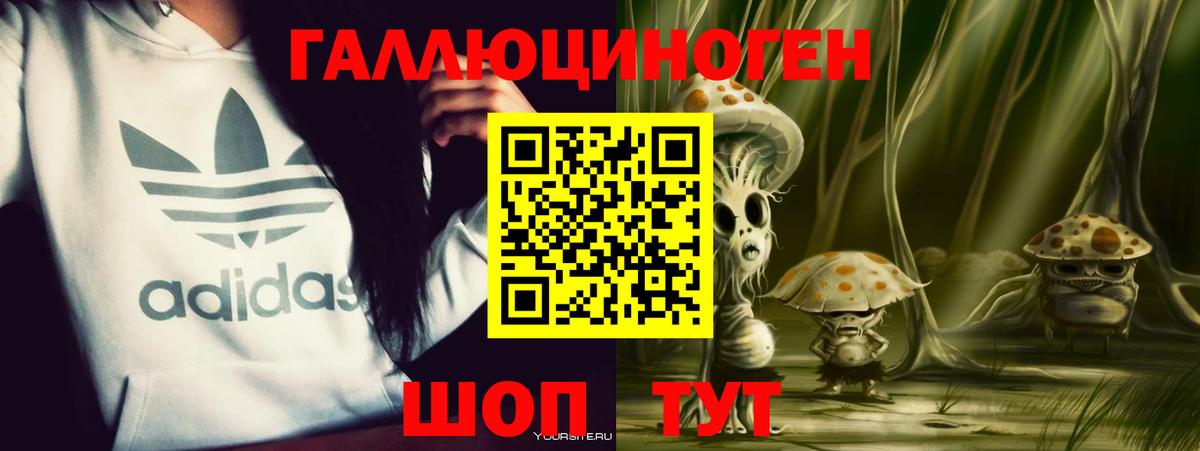 Артём  Галлюциногенные грибы GOLDEN TEACHER  Вход с VPN  Псилоцибиновые грибы Psilocybe 